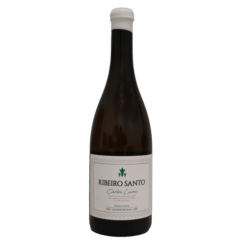 Ribeiro Santo Grande Escolha